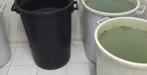 تصنع في الشقة
