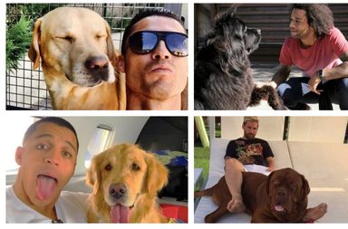 صور لاعبي كرة القدم العالميين مع الكلاب التي يربونها