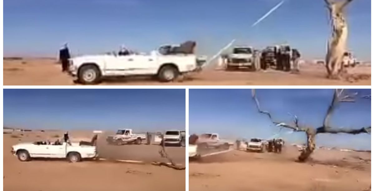 شاب يحاول اقتلاع شجرة بمركبته