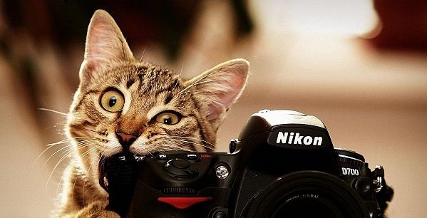 اكثر صور مضحكة وغريبة على الانترنت