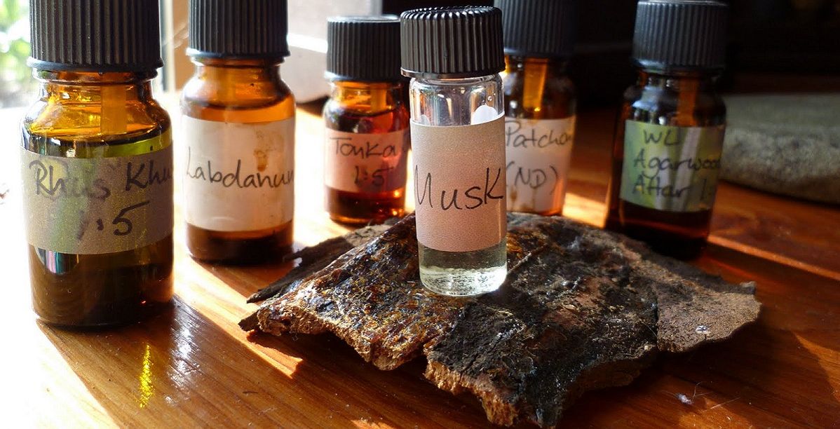طرق استخدام المسك الاسود