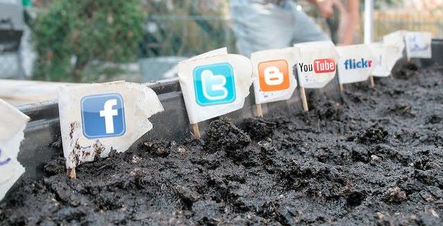 ترويج مخدرات عبر مواقع التواصل (http://maryjanecan.net)
