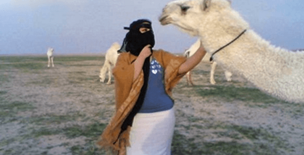 قبلت الجمل؟