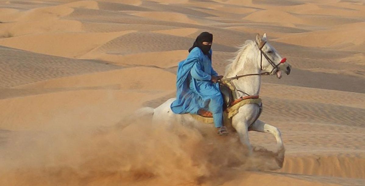 الطريقة المثالية لمنع جموح الخيل