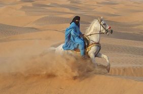 الطريقة المثالية لمنع جموح الخيل