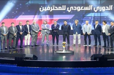 الدوري السعودي للمحترفين