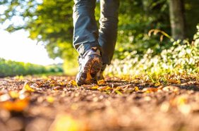 فوائد المشي نصف ساعة يوميا
