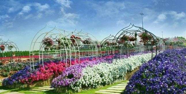 حديقة المعجزة اكبر حديقة زهور في العالم