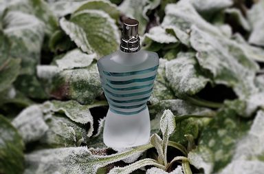 صور عطور رجالية مثيرة للنساء