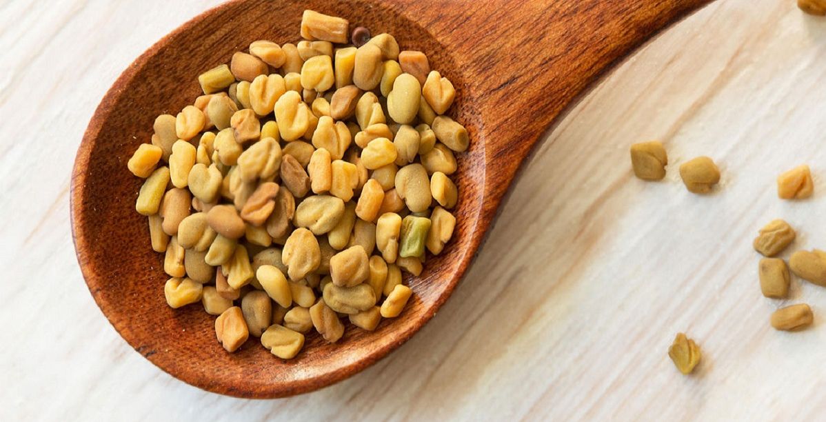 فوائد الحلبة لزيادة الوزن