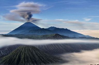 جزيرة فلوريس