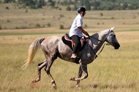 افضل طريقة لتعلم ركوب الخيل