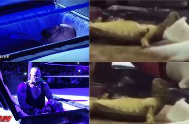 الضب الأندرتيكر