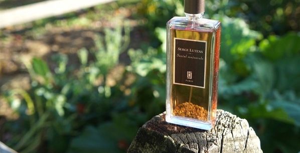 افضل عطر لبعد الحلاقة