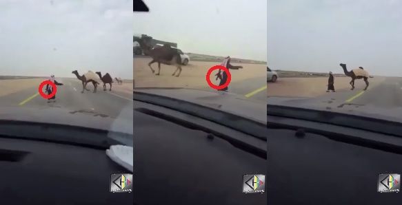 هذا ما فعله (يوتيوب)