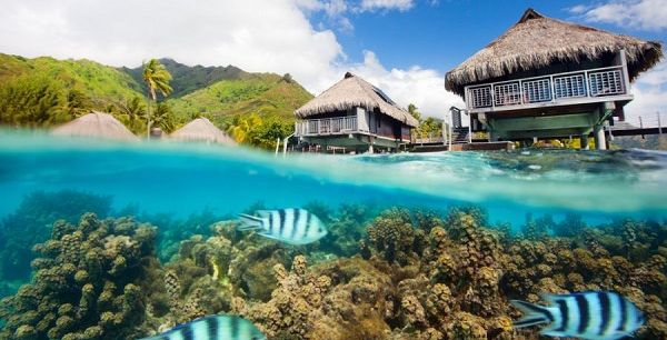 صور اجمل جزر العالم