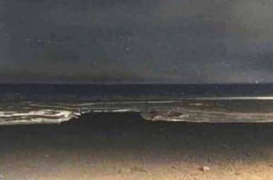 الصورة المحيرة