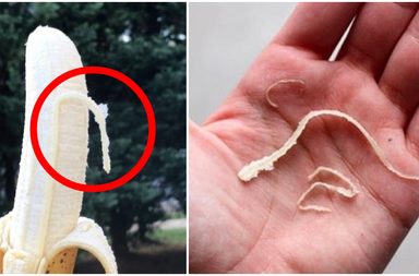 السر في خيوط الموز وفوائدها الصحية