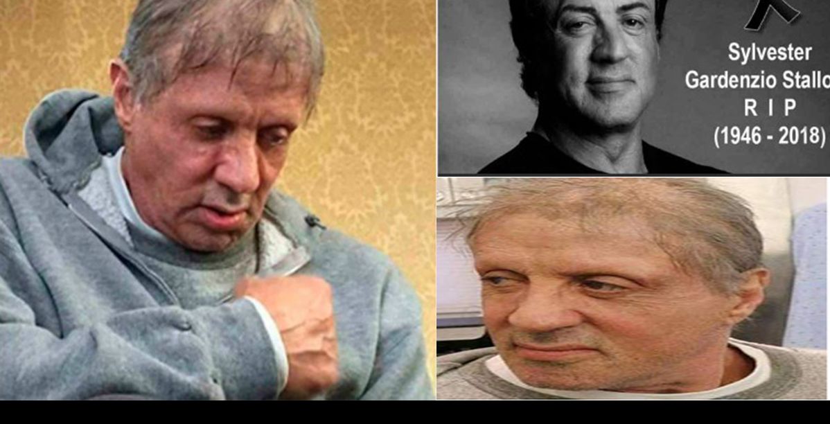 الصورة المتداولة