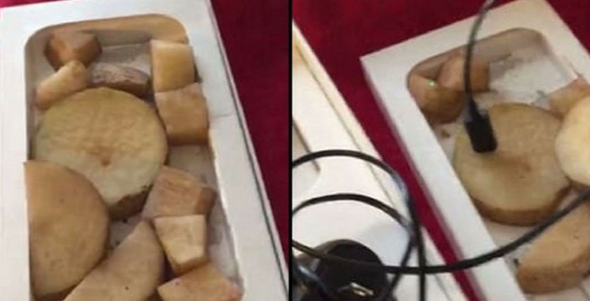 بطاطا بدل آيفون