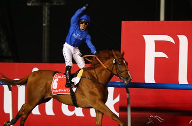 "أفريكان ستوري"