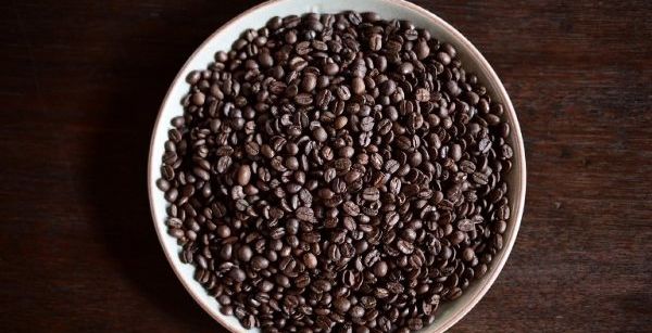 اغلى نوع من القهوة مصنوع من روث الفيلة