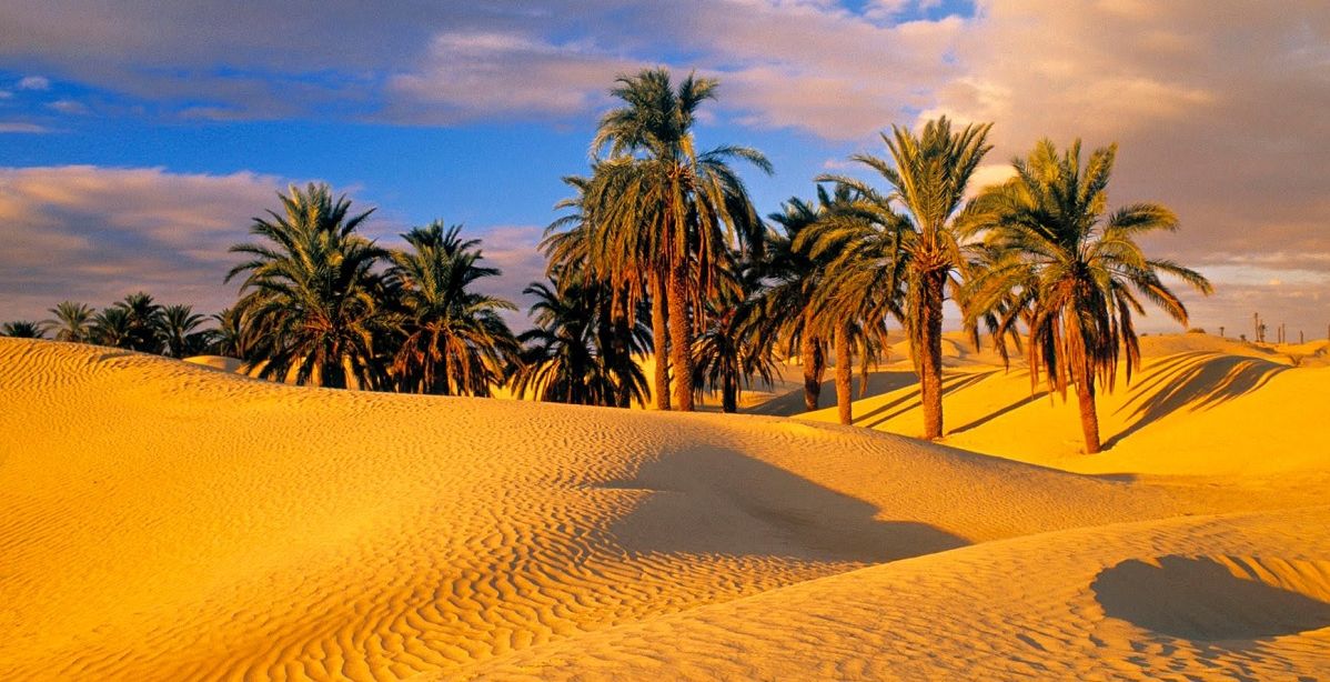 اكبر صحراء في العالم