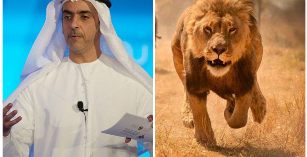 سيف بن زايد والأسد