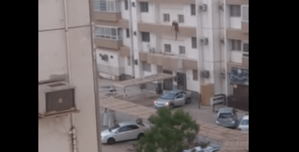 امراة تنتحر برمي نفسها من احد المجمعات السكنية في جدة