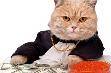 أغنى الحيوانات