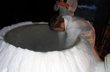 تجميد الدماغ والعودة بعدها إلى الحياة