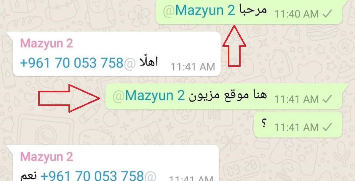 خاصية واتس اب الجديدة