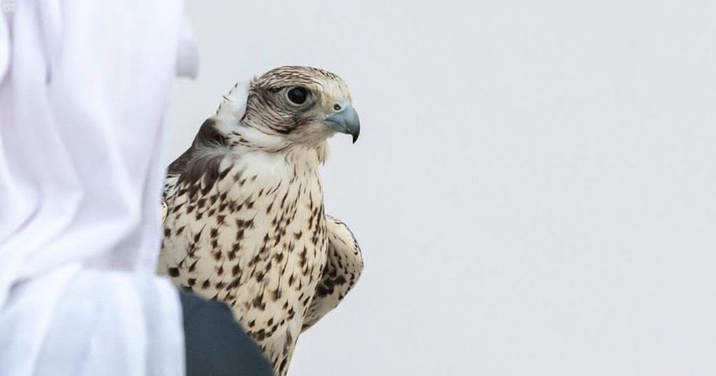 مصدر الصورة: حساب SPAregions@