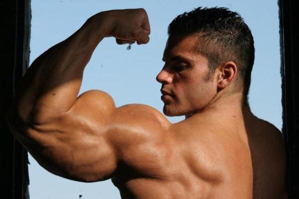 تمارين تكبير العضلات بالخطوات