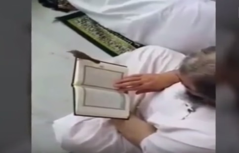 عصفور أثناء التلاوة