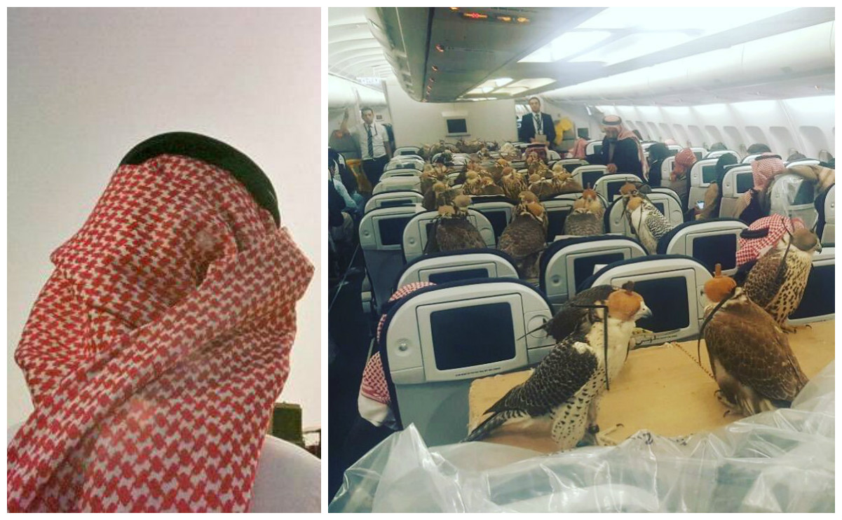 الصورة أثار الإستغراب بين مستخدمي الإنترنت