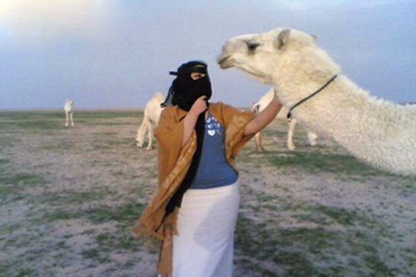 قبلت الجمل؟