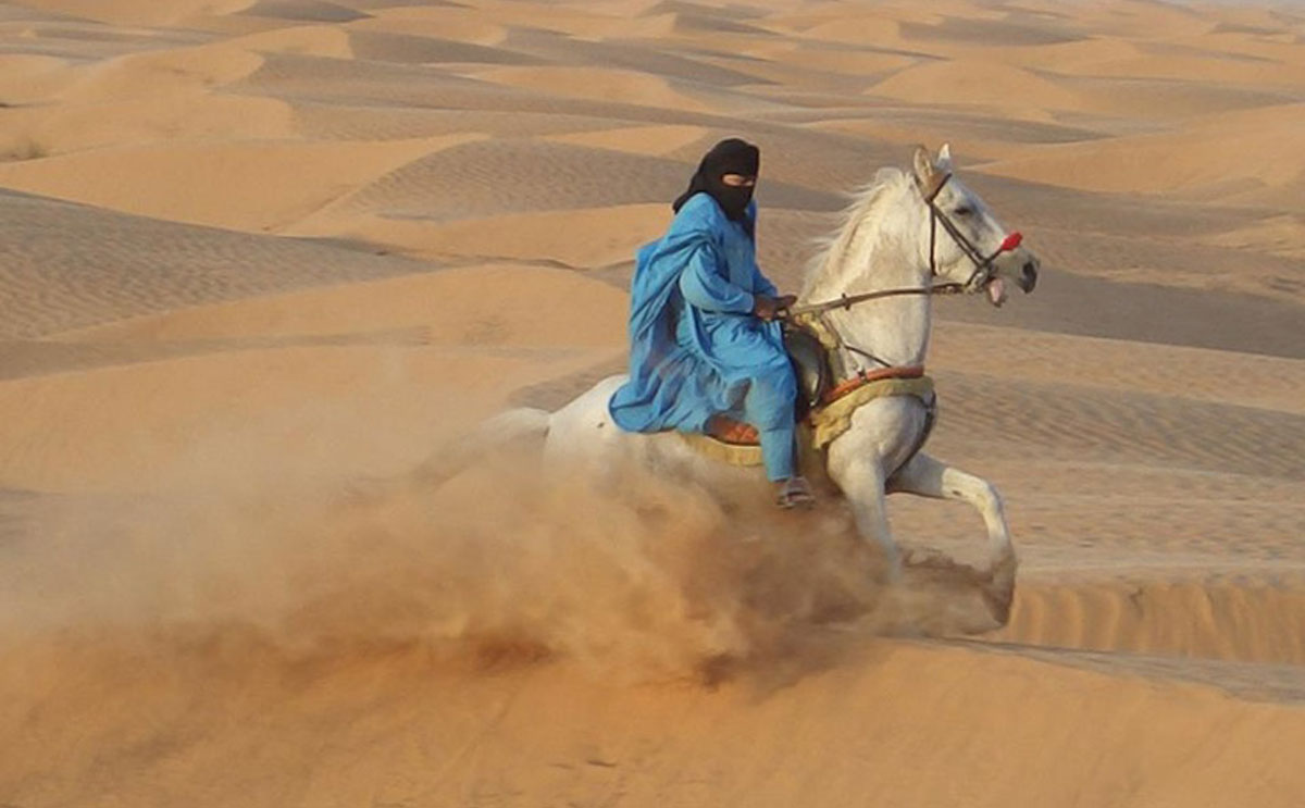 الطريقة المثالية لمنع جموح الخيل