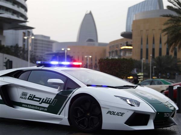 شرطة دبي