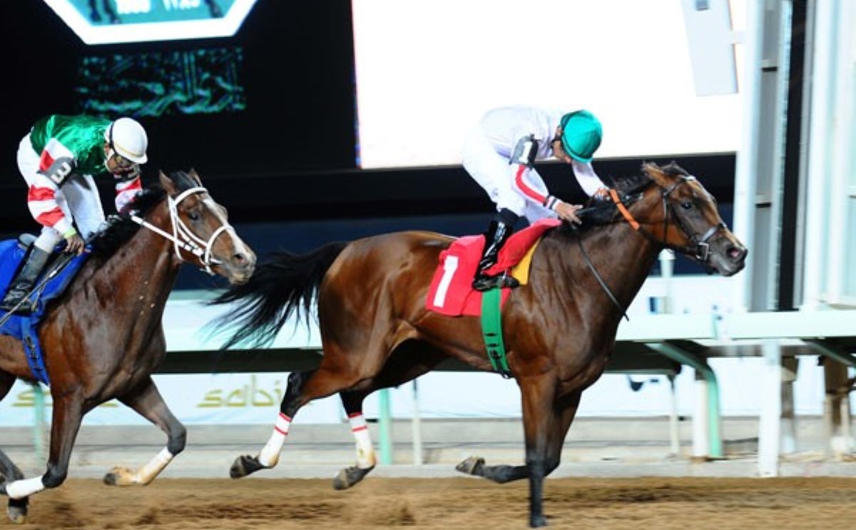 انطلاق سباقات الخيل لموسم الرياض 2016