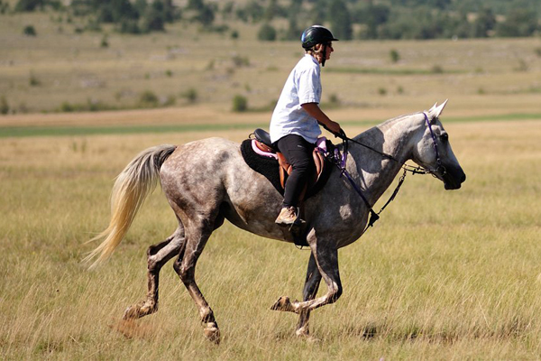 افضل طريقة لتعلم ركوب الخيل