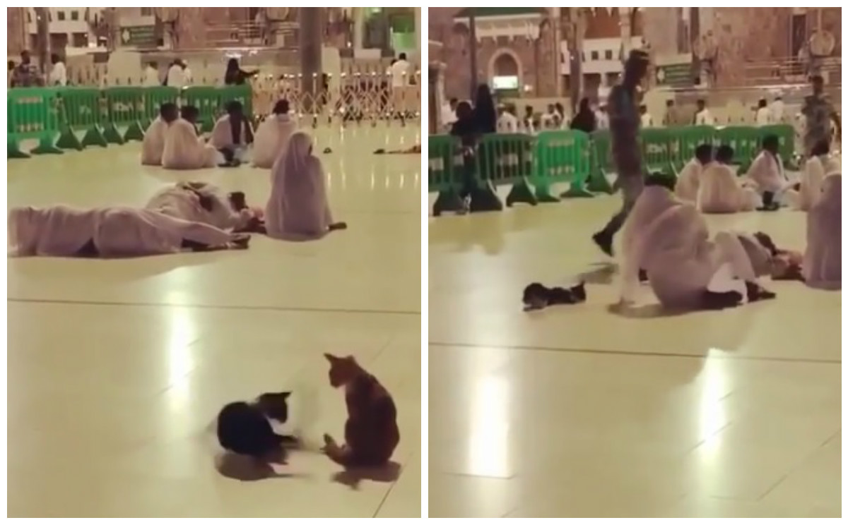 ماذا حصل في الحرم