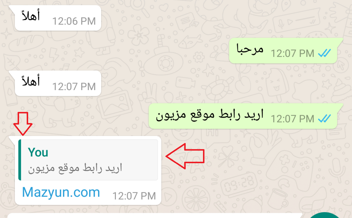 ميزة واتس اب