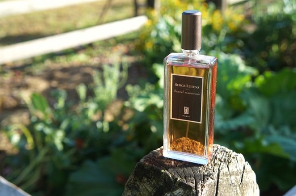 افضل عطر لبعد الحلاقة