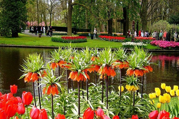 صور اجمل حدائق العالم