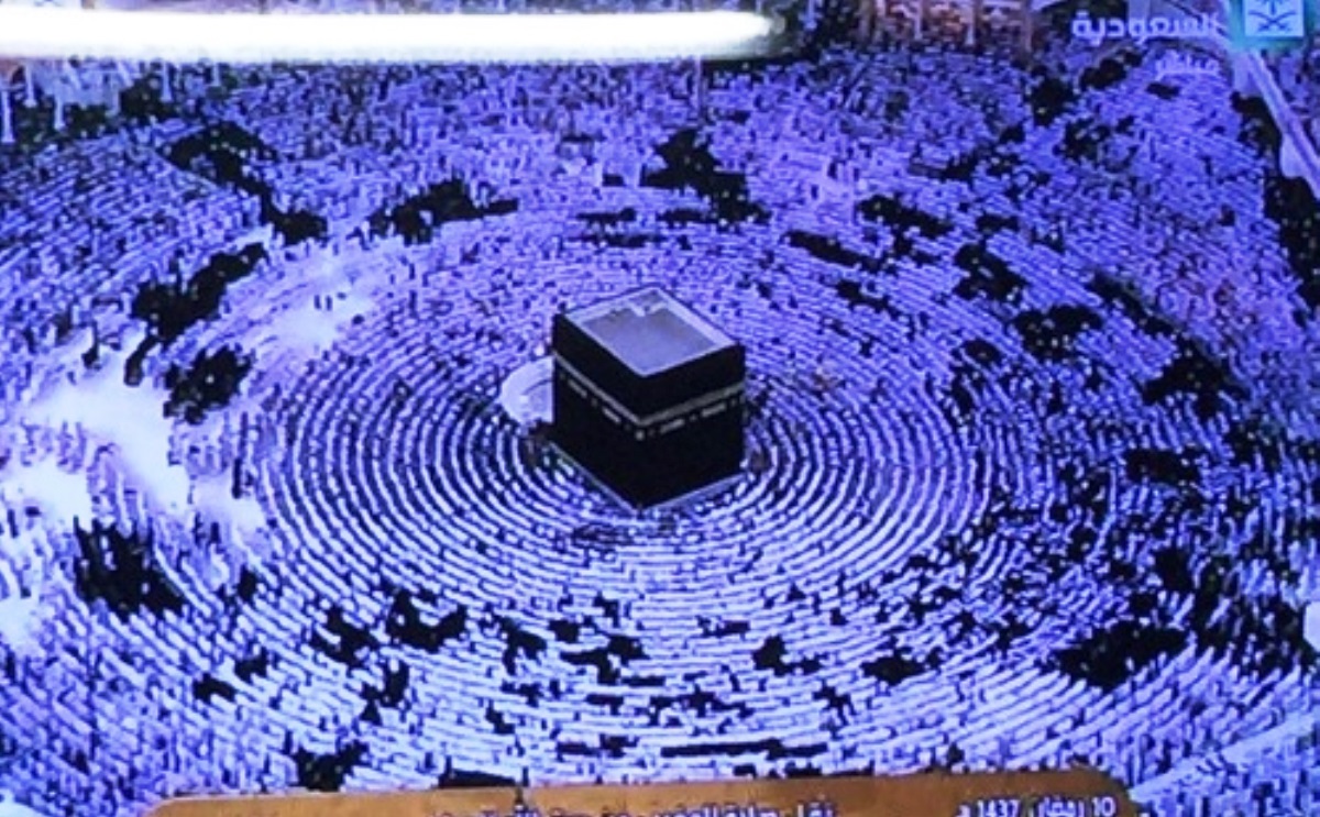 الإختلاط في الحرم (تويتر/ @Mills2728)