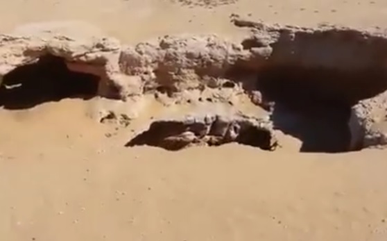 كالوجه الجاهز للإنقضاض