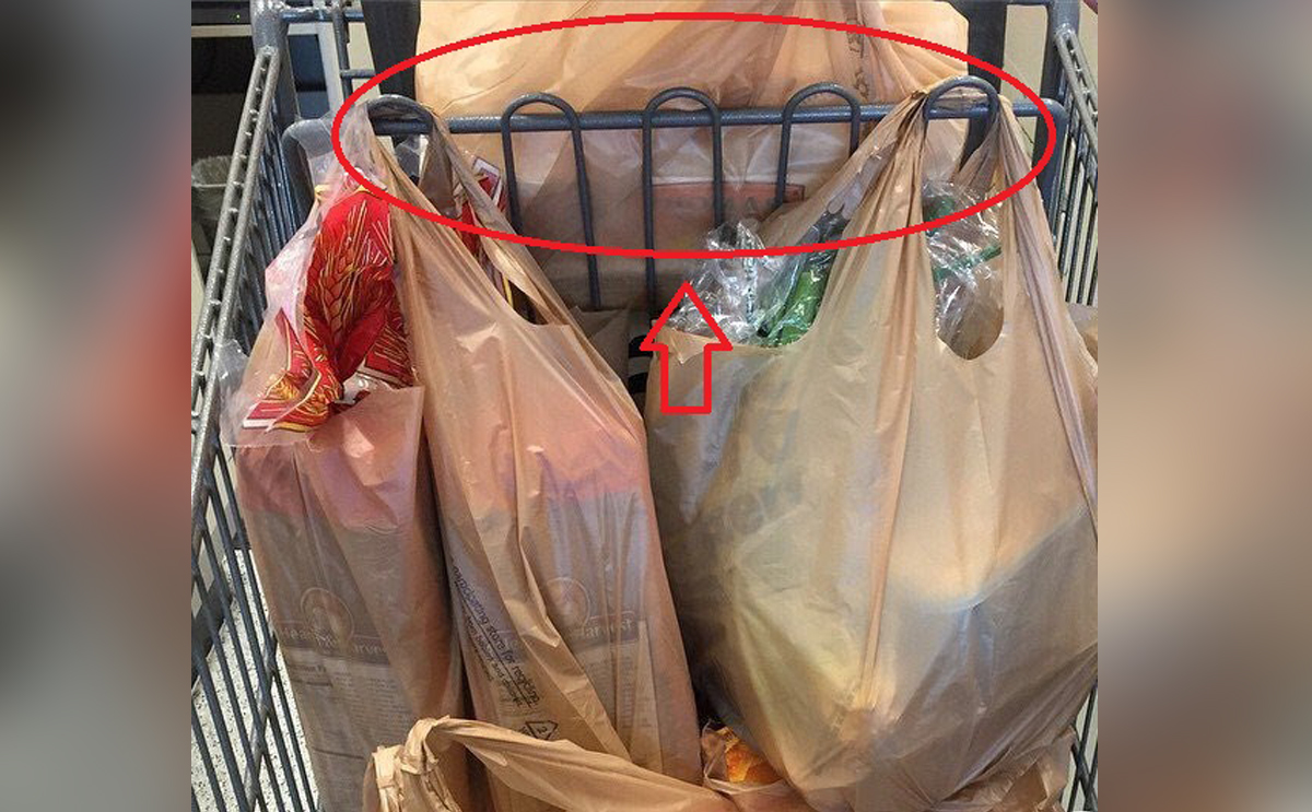 الحامل في عربة التسوق