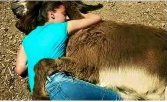 رجل مصري يكتشف ان زوجته تمارس الجنس مع حمار