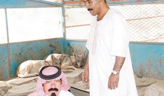 الزهراني